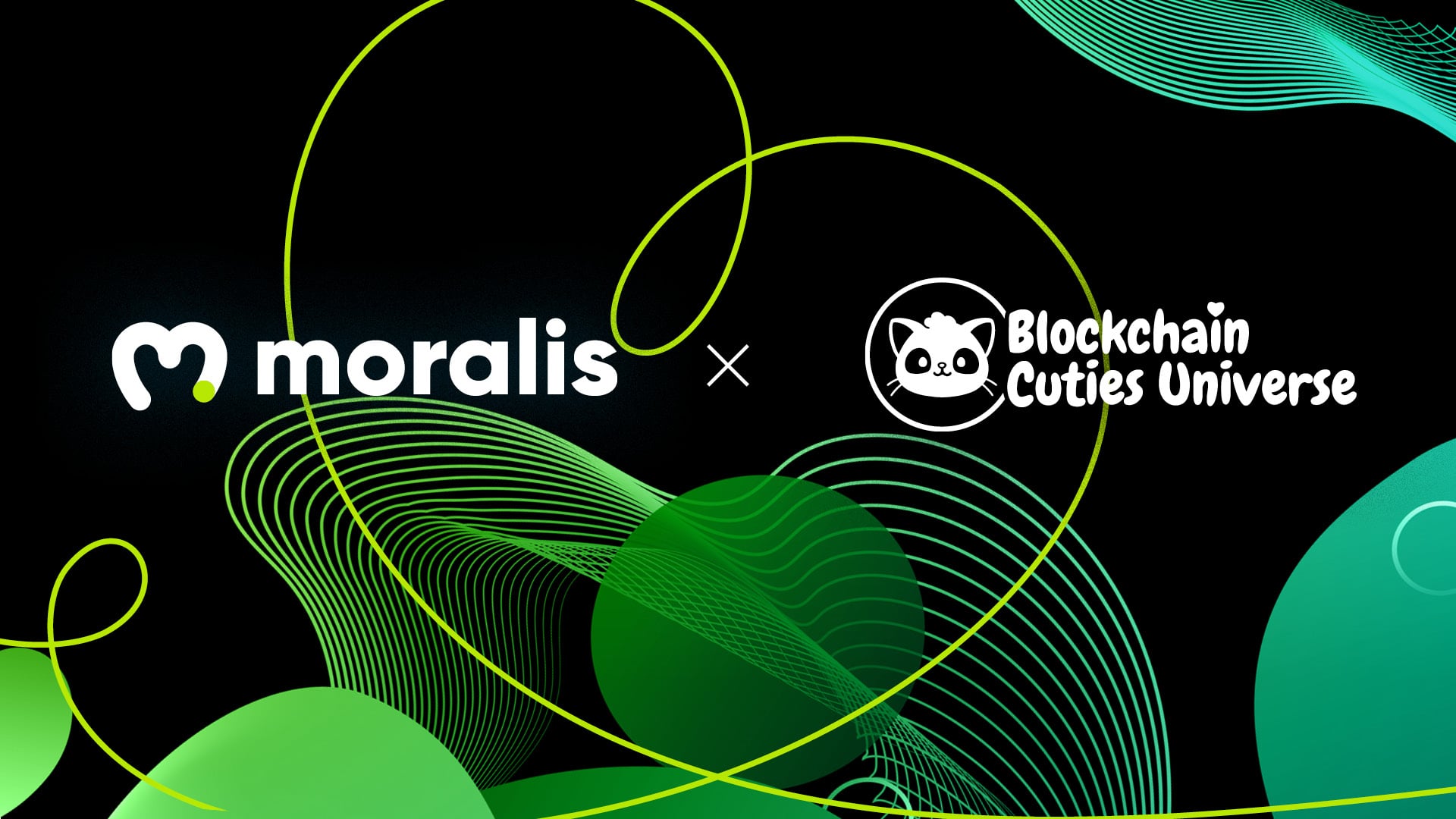 Moralis Partners with Blockchain Cuties Universe for 2021 Moralis Hackathon » Moralis - The Ultimate Web3 Development Platform