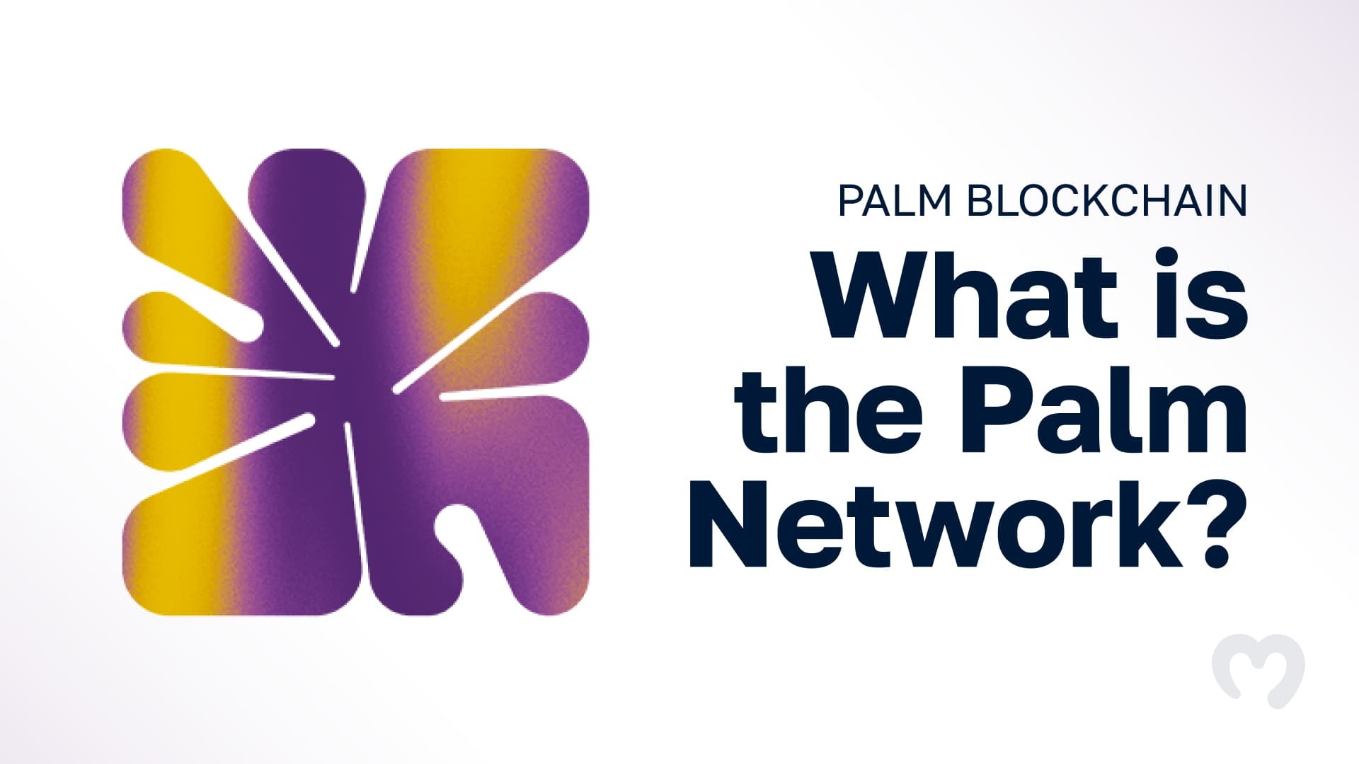 What is the Palm Blockchain Network?
