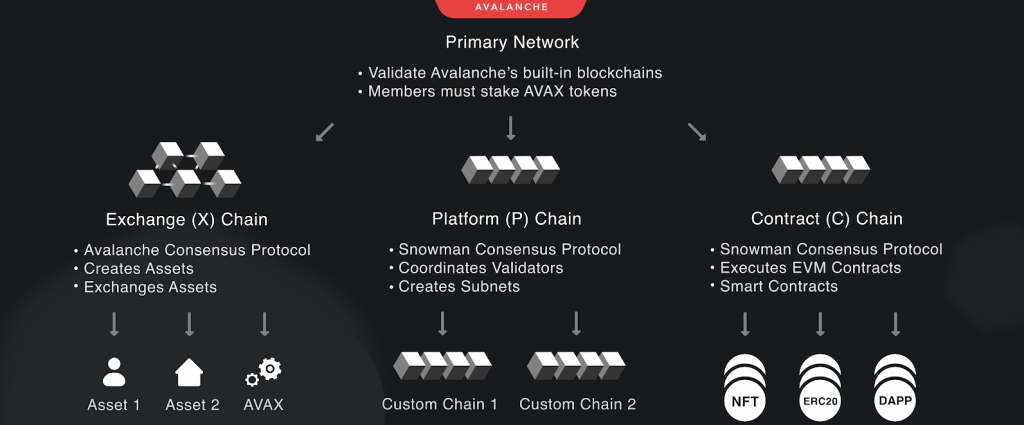 Table with various networks from Avalanche, including the Fuji testnet