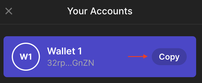 Copy button to copy the wallet address