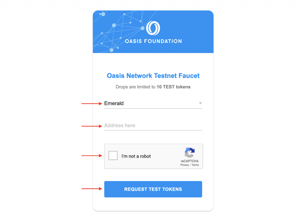 Input fields and Request Test Tokens Button on the Oasis Faucet Landing Page