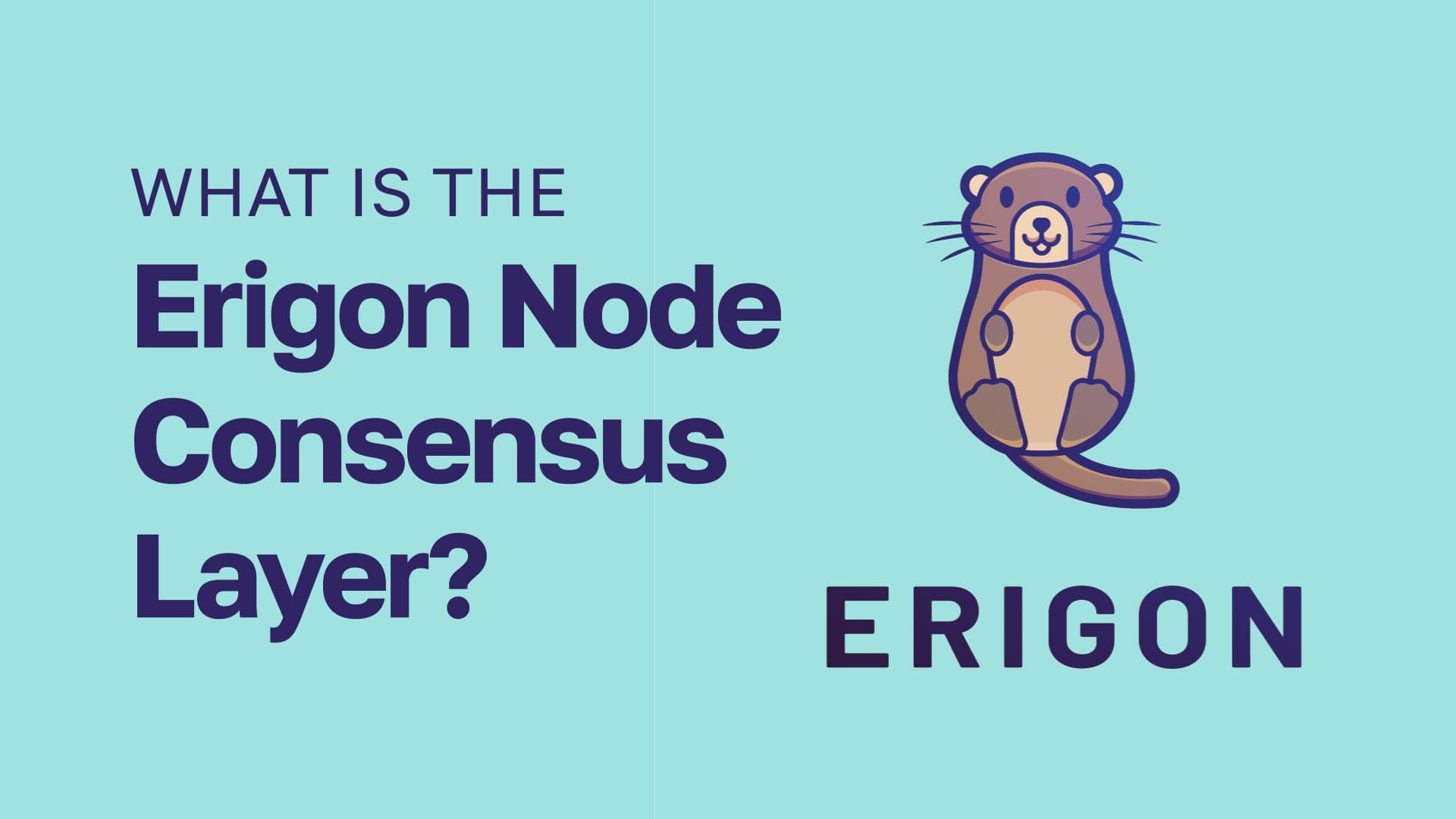 What is the Erigon Node Consensus Layer?