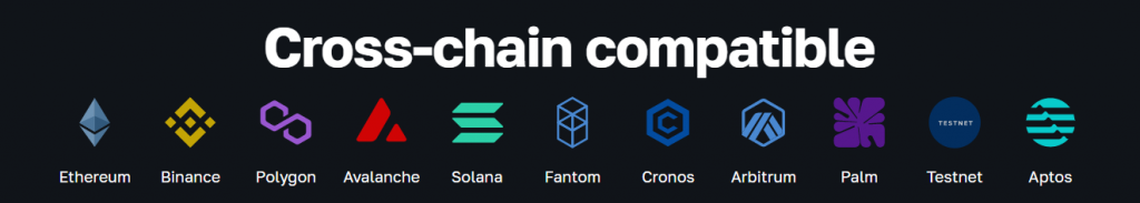 Cross-Chain Networks for Crypto Portfolio Trackers