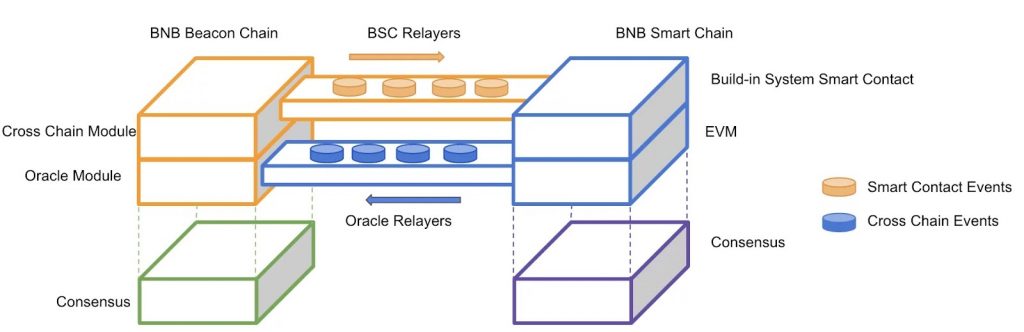 BSC Node Graph with Schematics Showing How a BSC Node Operates with BNB Smart Chain