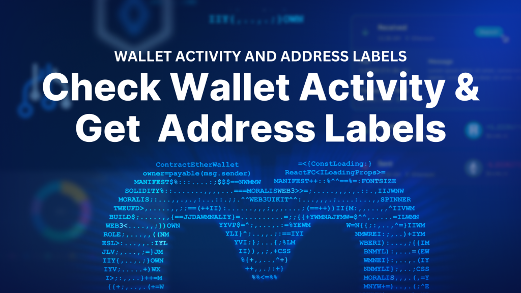 Check Wallet Activity and Get Crypto Address Labels