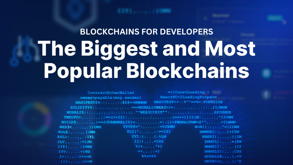 The Biggest and Most Popular Blockchains for Developers
