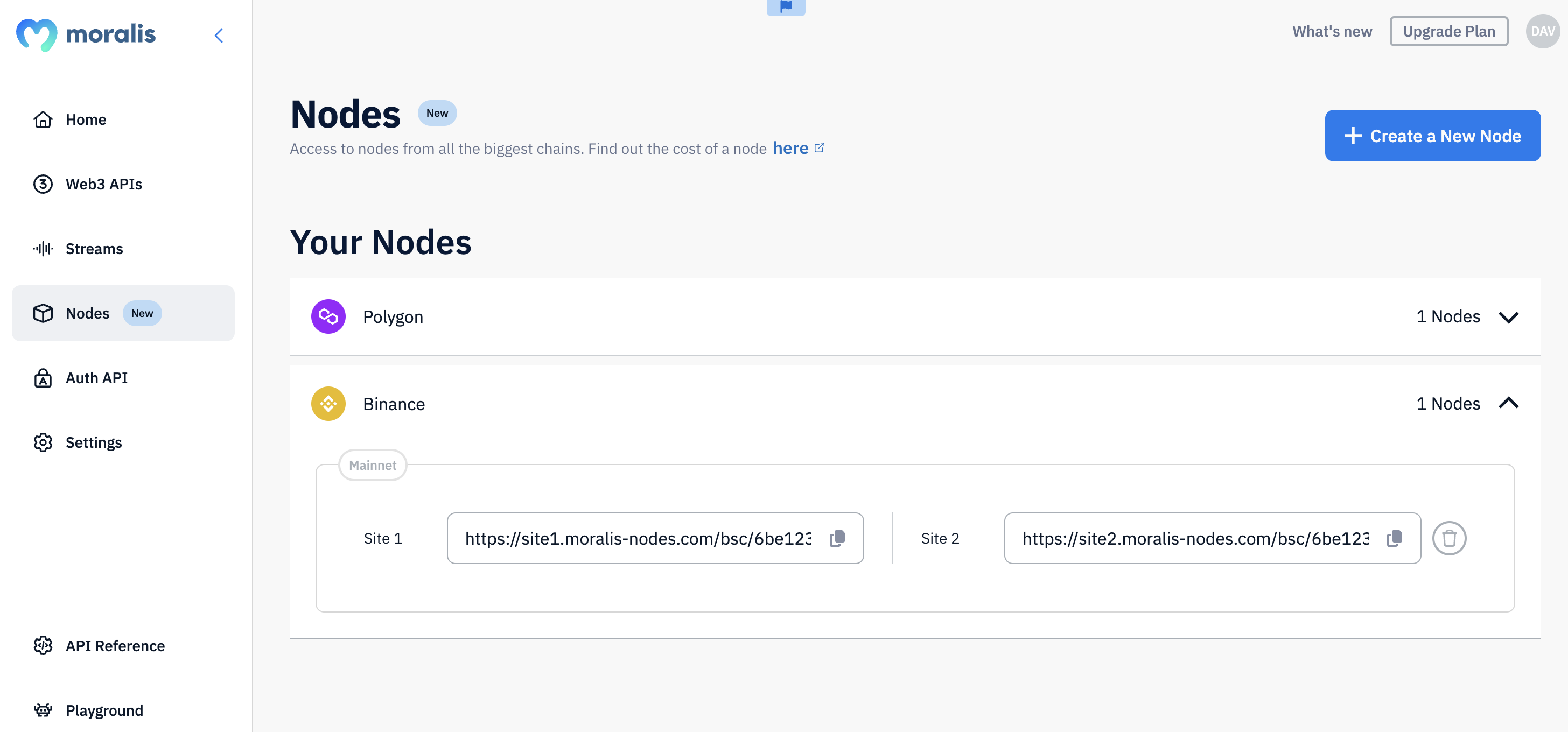 Step 3 - Copy and integrate one of your BSC node URLs into your dapp: