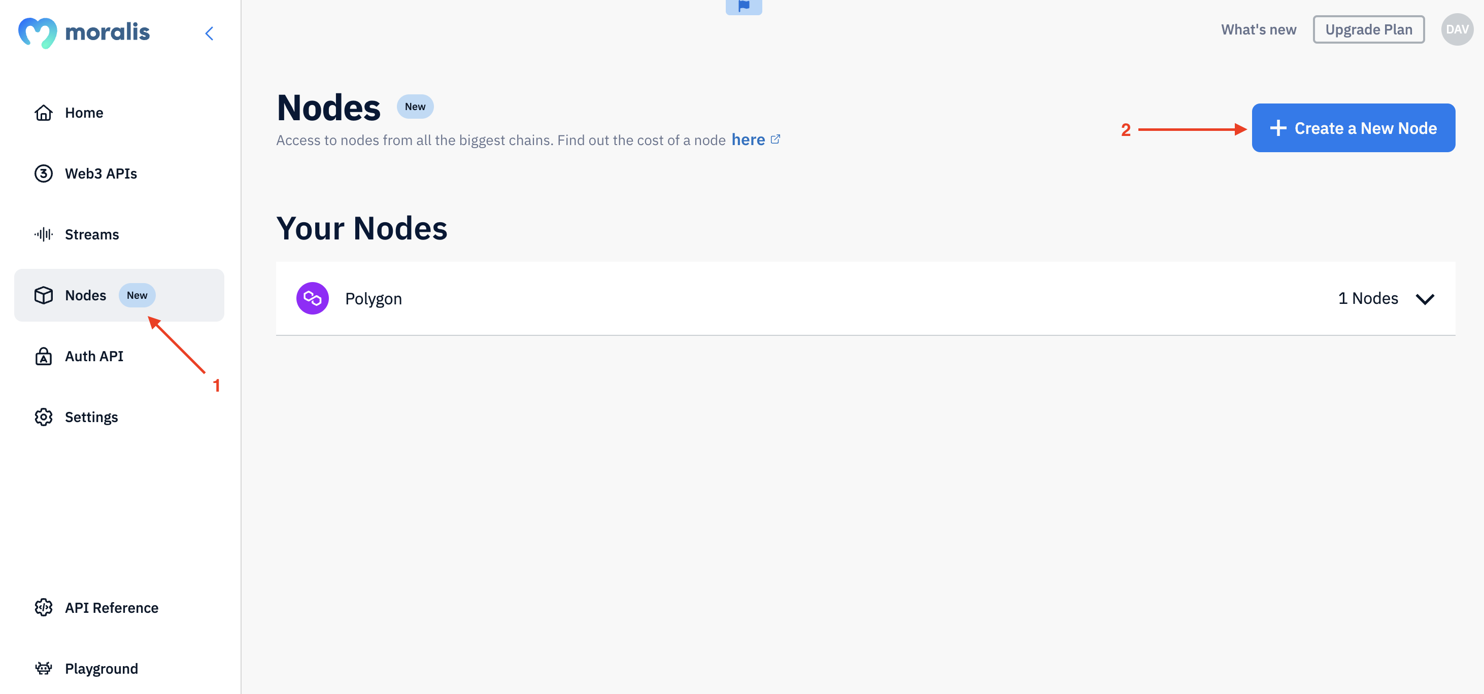 With an account at hand, head on over to the ”Nodes” tab and click on ”+ Create a New Node”: