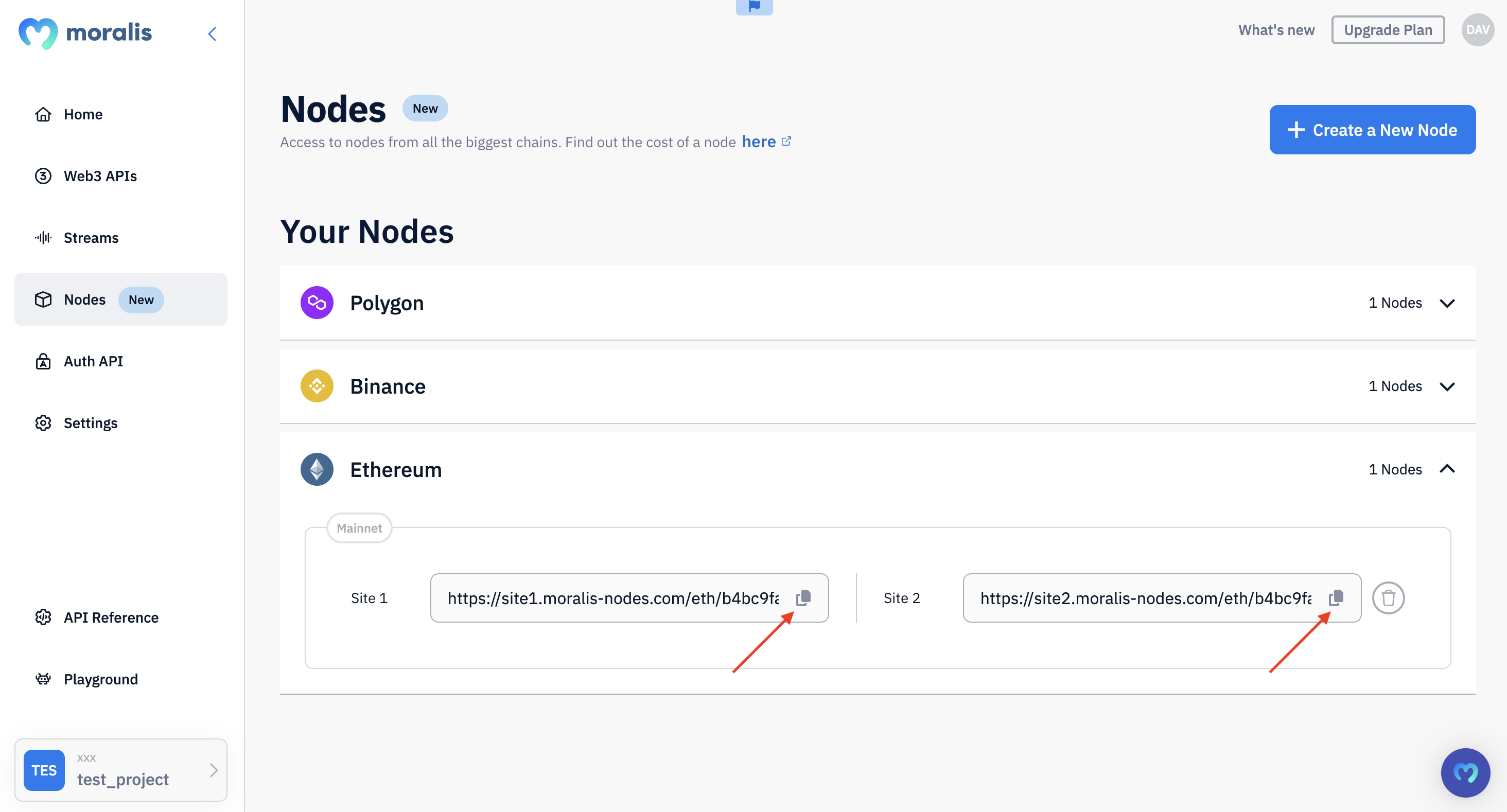 Step 3 - Copy one of your node URLs and integrate it into your dapp: