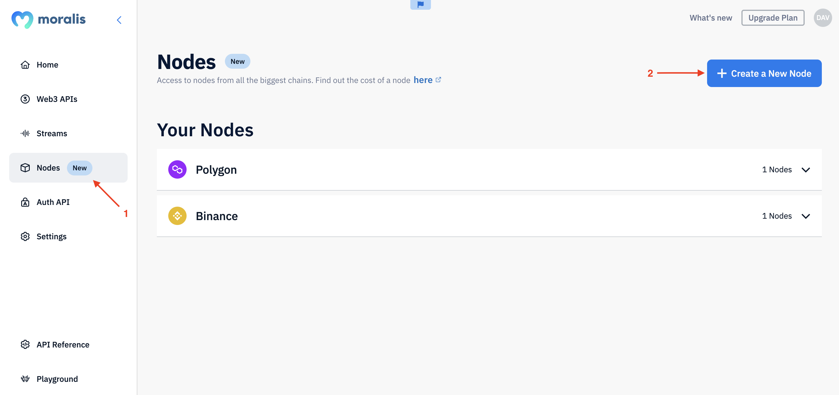 Showing Step 2 - Log in, go to the ”Nodes” tab, click on the ”+ Create a New Node” button, and set up your node: 