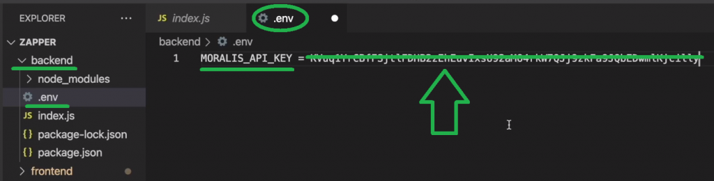 Code editor showing where to add multichain NFT API key.