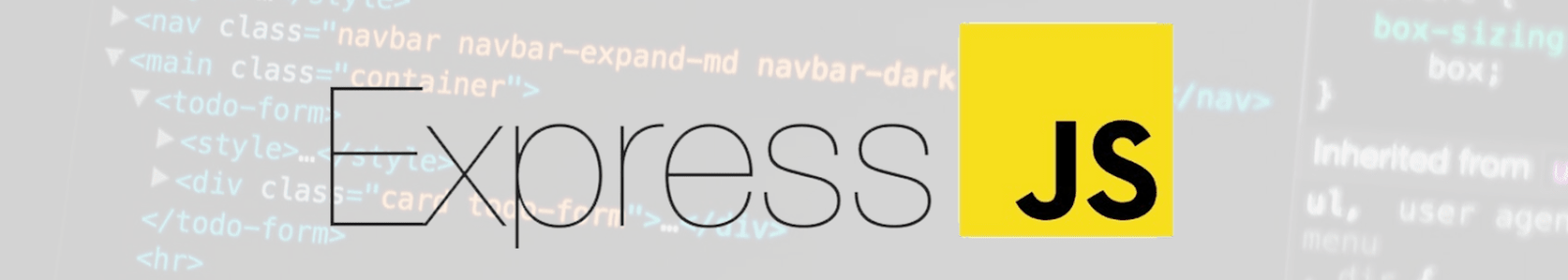 Express JS logo.