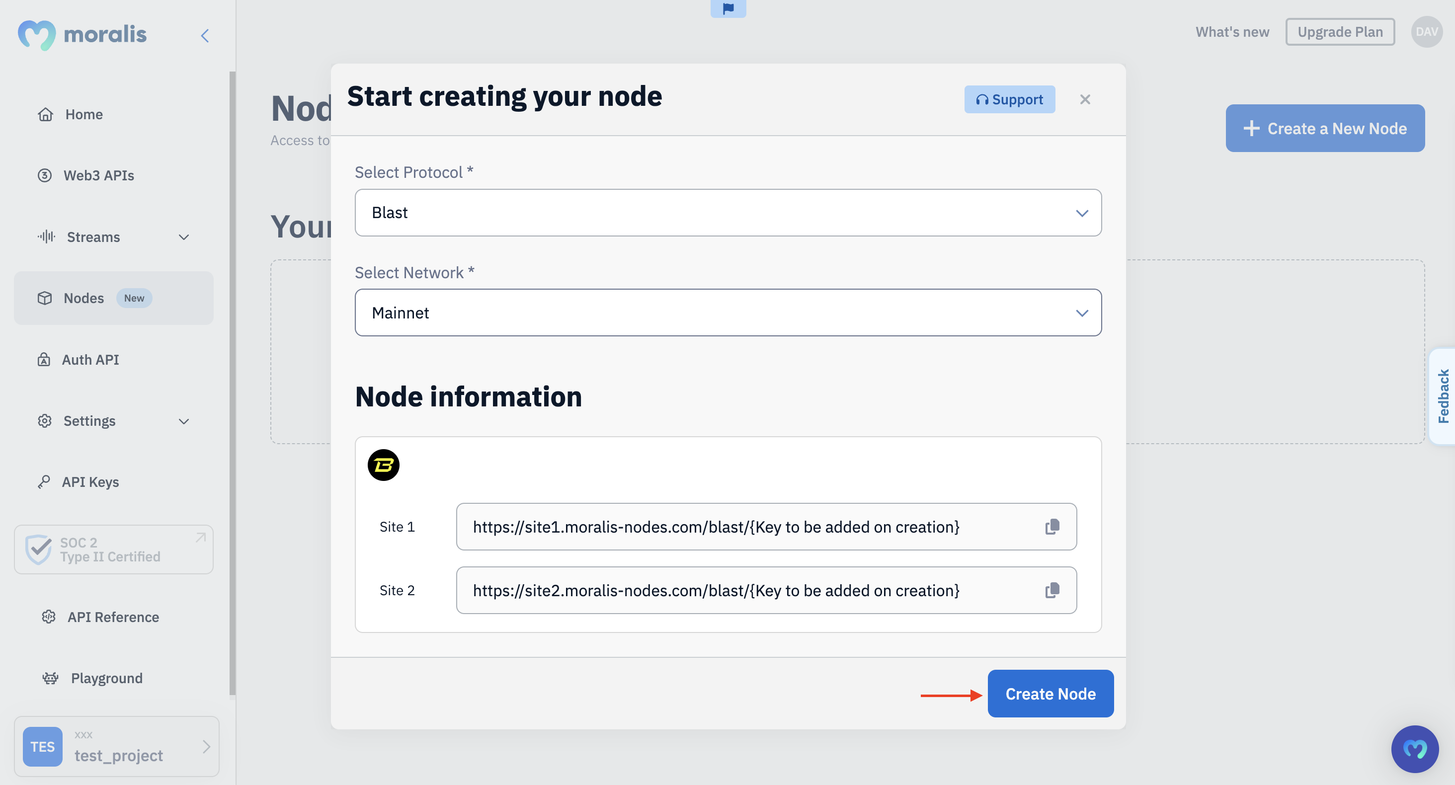 Red arrow pointing at the "Create Node" button during Blast nodes configurations.